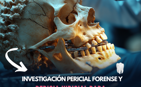 imagen Curso