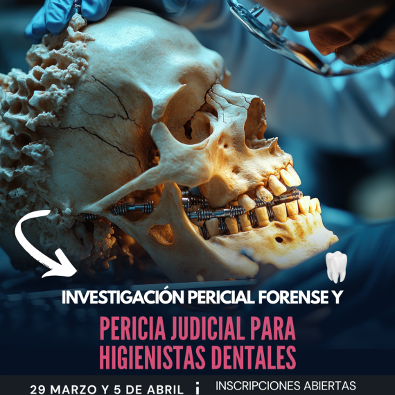 imagen Curso